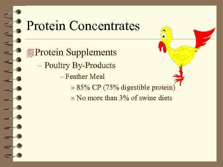 Protein Concentrates 4 Protein Supplements – Poultry By-Products – Feather Meal » 85% CP
