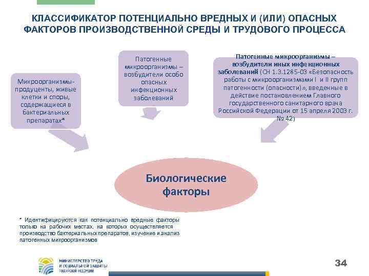 КЛАССИФИКАТОР ПОТЕНЦИАЛЬНО ВРЕДНЫХ И (ИЛИ) ОПАСНЫХ ФАКТОРОВ ПРОИЗВОДСТВЕННОЙ СРЕДЫ И ТРУДОВОГО ПРОЦЕССА Микроорганизмыпродуценты, живые