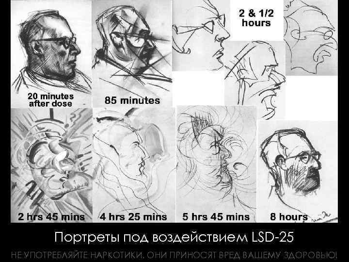 Портреты под воздействием LSD-25 НЕ УПОТРЕБЛЯЙТЕ НАРКОТИКИ. ОНИ ПРИНОСЯТ ВРЕД ВАШЕМУ ЗДОРОВЬЮ! 