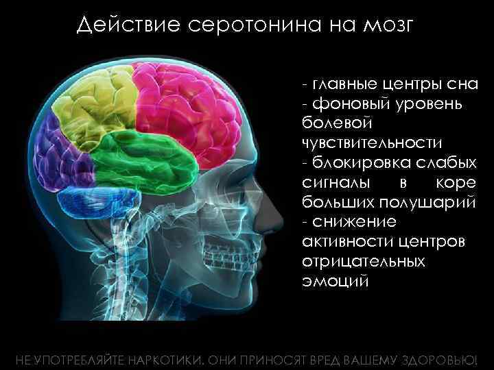 Действие серотонина на мозг - главные центры сна - фоновый уровень болевой чувствительности -