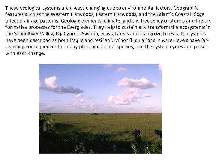 These ecological systems are always changing due to environmental factors. Geographic features such as