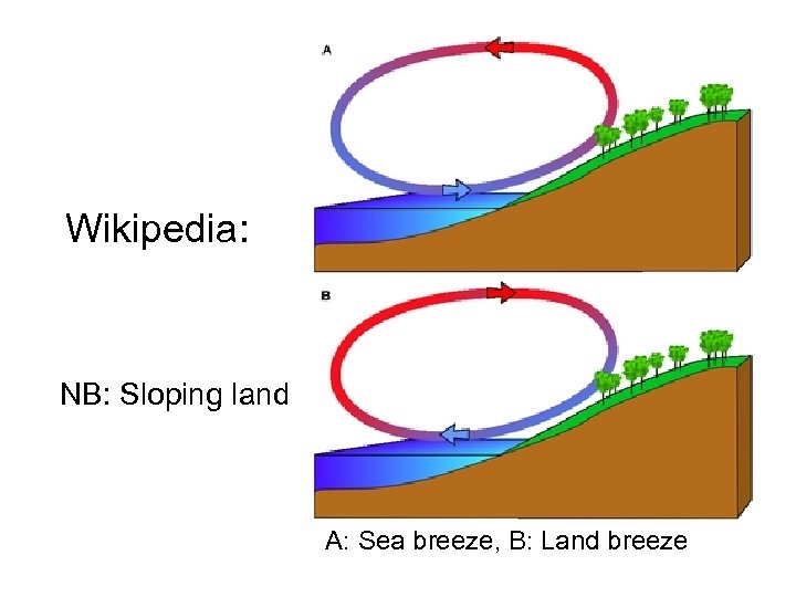 Wikipedia: NB: Sloping land A: Sea breeze, B: Land breeze 