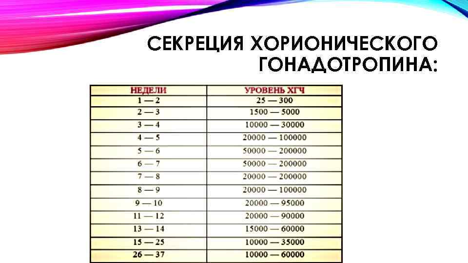 СЕКРЕЦИЯ ХОРИОНИЧЕСКОГО ГОНАДОТРОПИНА: 