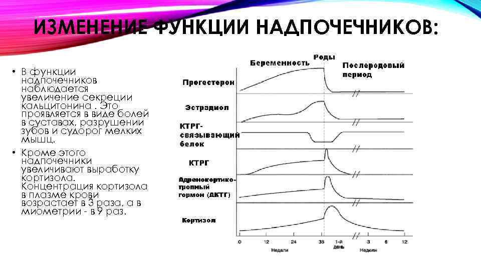 ИЗМЕНЕНИЕ ФУНКЦИИ НАДПОЧЕЧНИКОВ: • В функции надпочечников наблюдается увеличение секреции кальцитонина. Это проявляется в