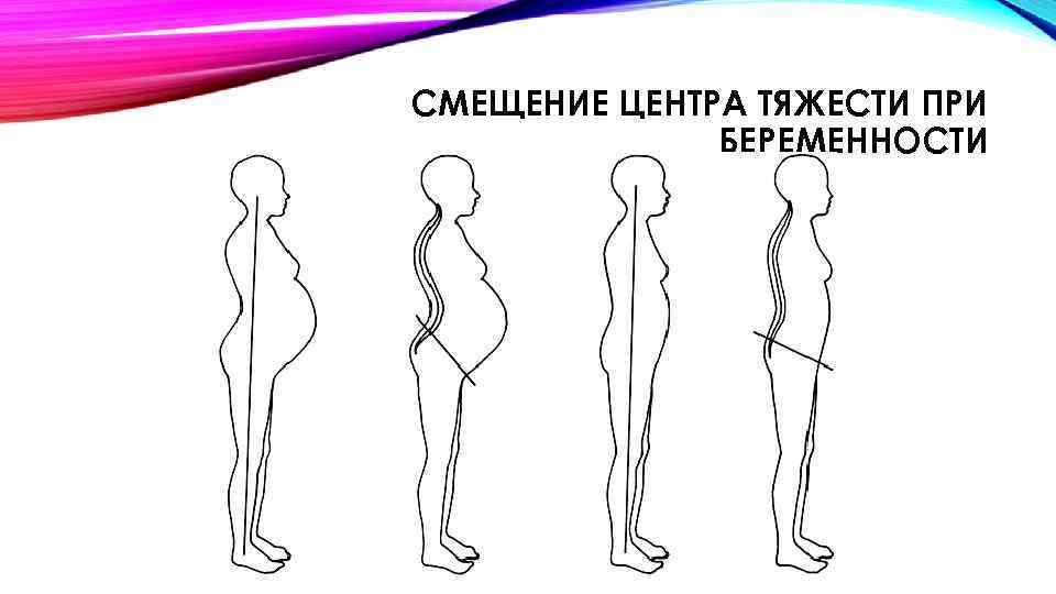 СМЕЩЕНИЕ ЦЕНТРА ТЯЖЕСТИ ПРИ БЕРЕМЕННОСТИ 