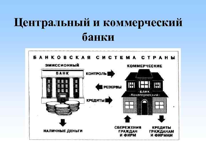 Центральный банк и коммерческие банки