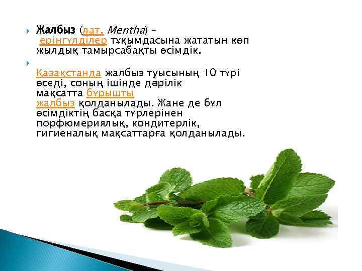  Жалбыз (лат. Mentha) – ерінгүлділер тұқымдасына жататын көп жылдық тамырсабақты өсімдік. Қазақстанда жалбыз