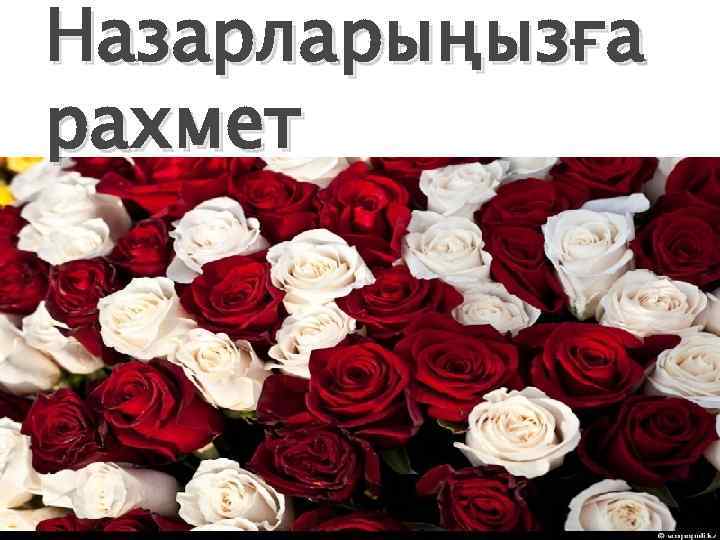 Назарларыңызға рахмет 