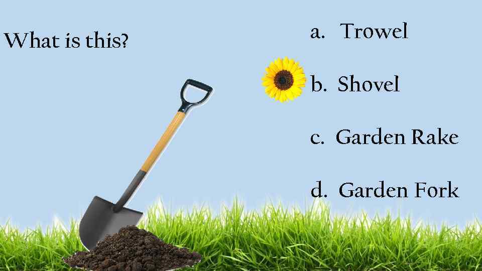 What is this? a. Trowel b. Shovel c. Garden Rake d. Garden Fork 