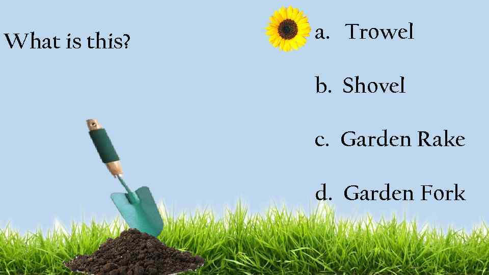 What is this? a. Trowel b. Shovel c. Garden Rake d. Garden Fork 