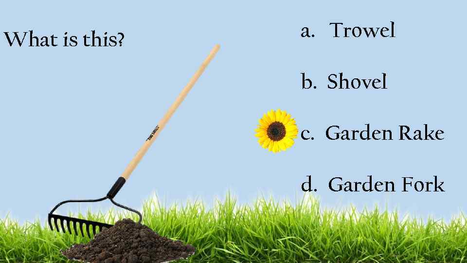 What is this? a. Trowel b. Shovel c. Garden Rake d. Garden Fork 