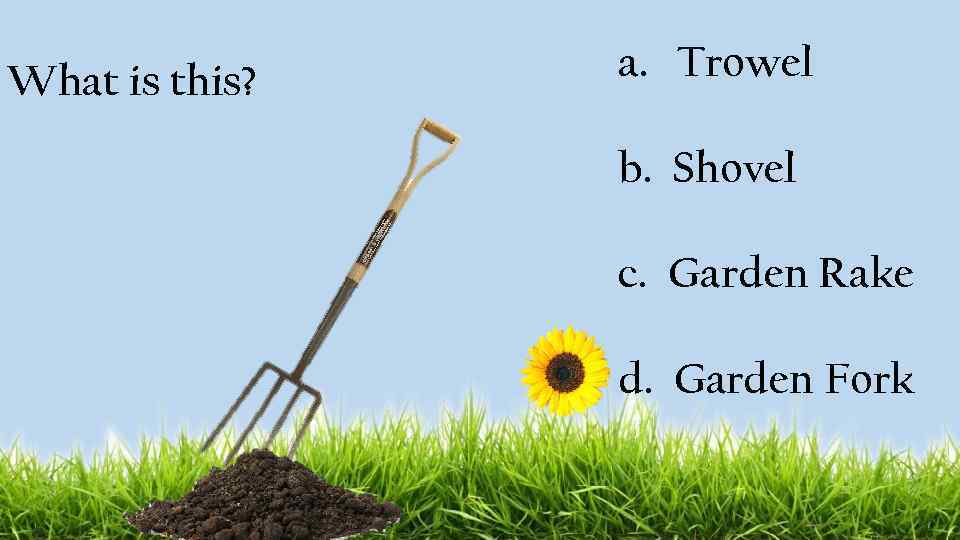 What is this? a. Trowel b. Shovel c. Garden Rake d. Garden Fork 