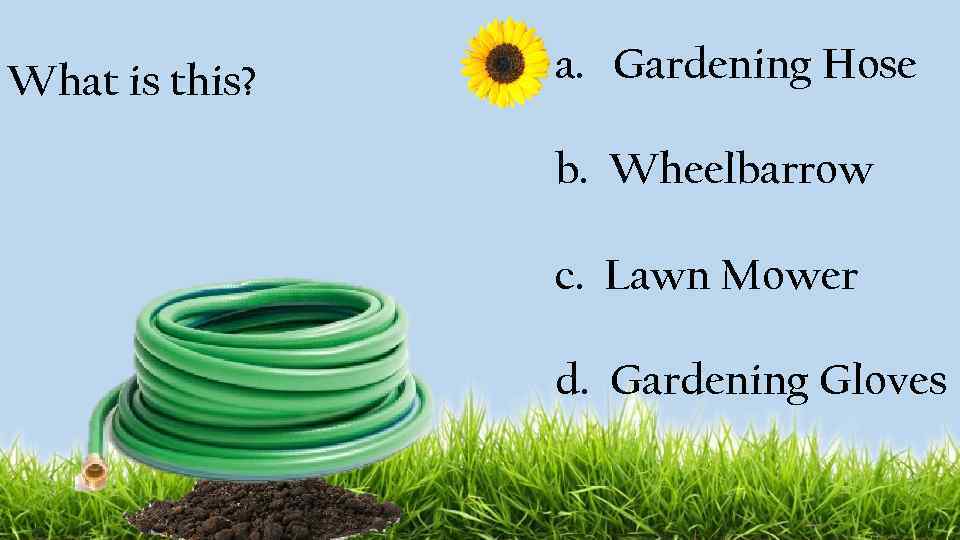 What is this? a. Gardening Hose b. Wheelbarrow c. Lawn Mower d. Gardening Gloves