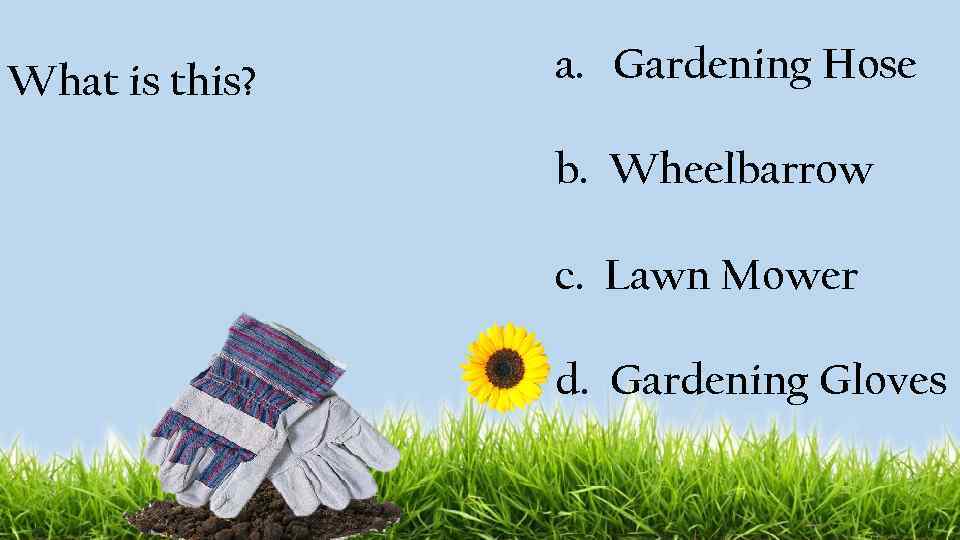 What is this? a. Gardening Hose b. Wheelbarrow c. Lawn Mower d. Gardening Gloves