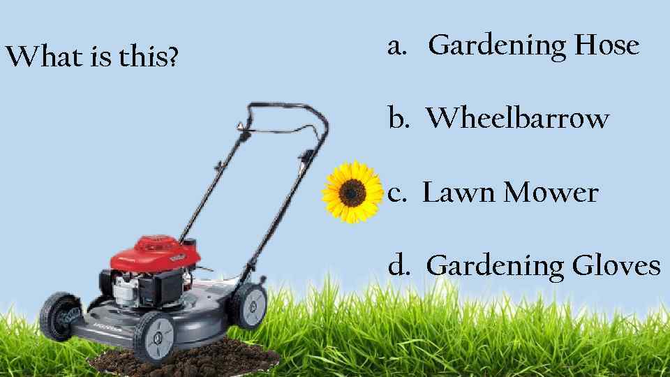 What is this? a. Gardening Hose b. Wheelbarrow c. Lawn Mower d. Gardening Gloves