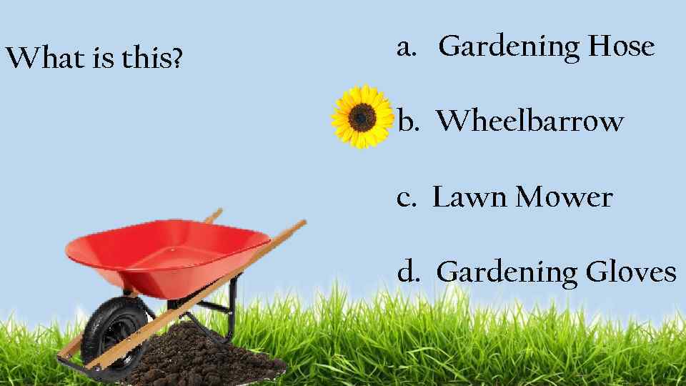 What is this? a. Gardening Hose b. Wheelbarrow c. Lawn Mower d. Gardening Gloves