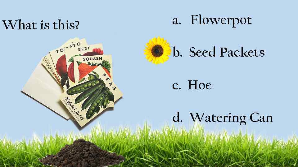 What is this? a. Flowerpot b. Seed Packets c. Hoe d. Watering Can 