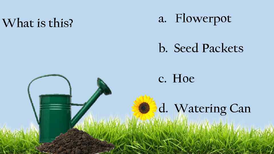 What is this? a. Flowerpot b. Seed Packets c. Hoe d. Watering Can 