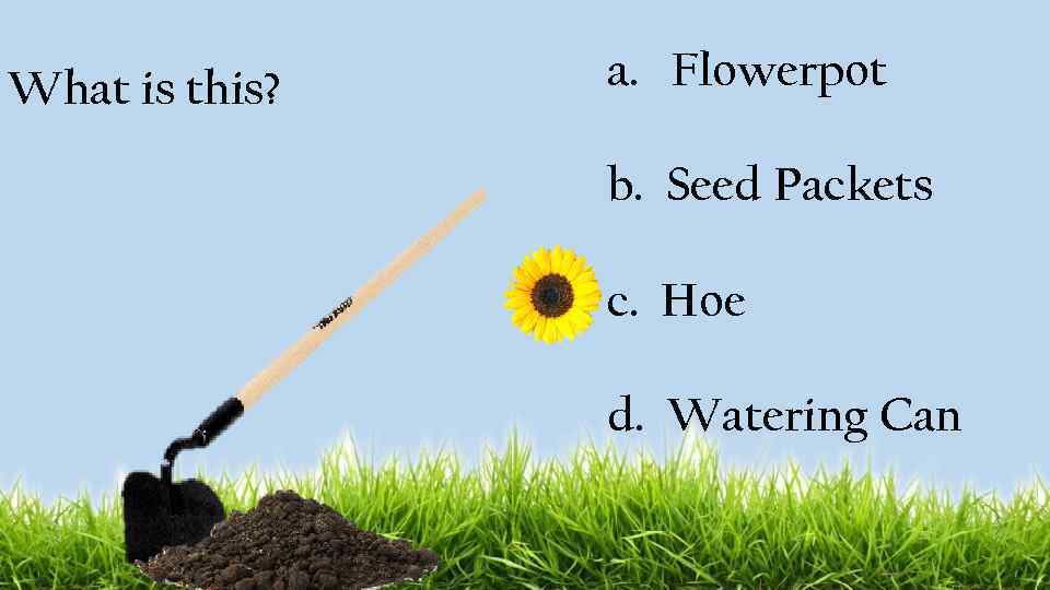 What is this? a. Flowerpot b. Seed Packets c. Hoe d. Watering Can 