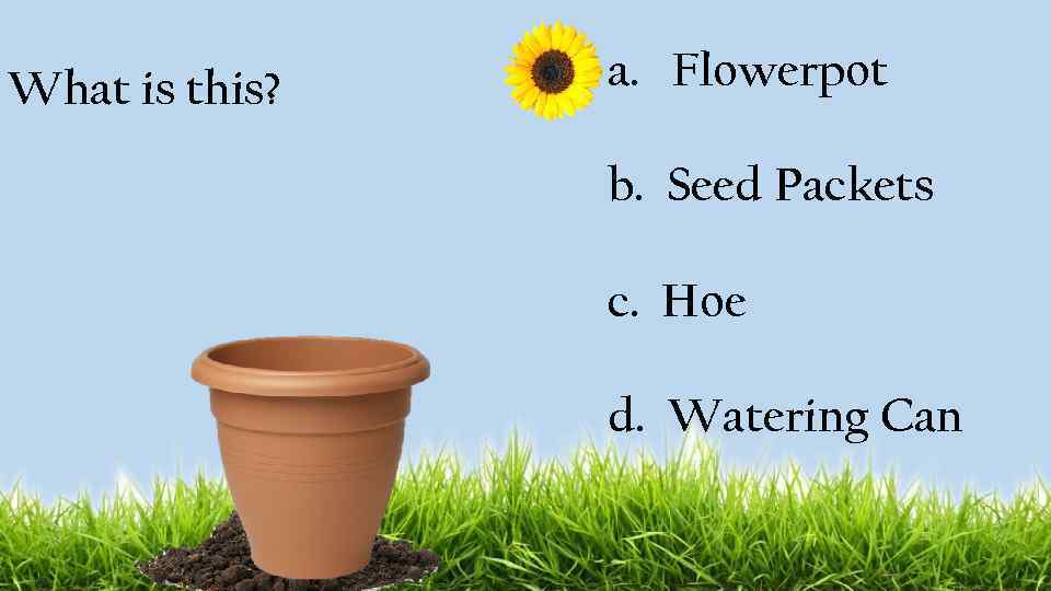 What is this? a. Flowerpot b. Seed Packets c. Hoe d. Watering Can 