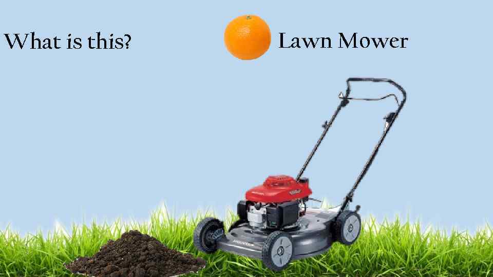 What is this? Lawn Mower 