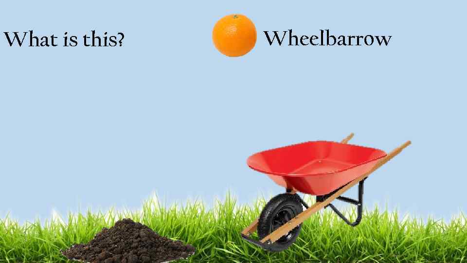 What is this? Wheelbarrow 