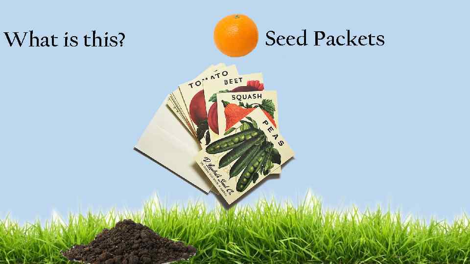 What is this? Seed Packets 