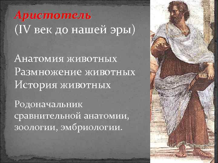 Аристотель (IV век до нашей эры) Анатомия животных Размножение животных История животных Родоначальник сравнительной