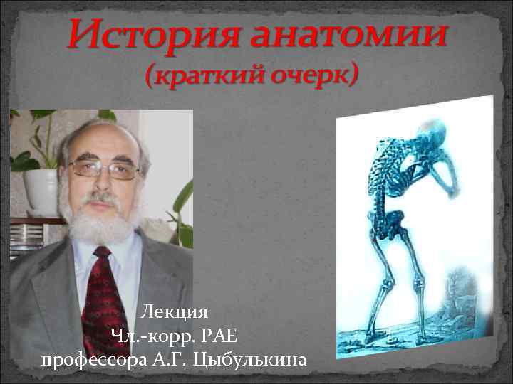 Лекция Чл. -корр. РАЕ профессора А. Г. Цыбулькина 