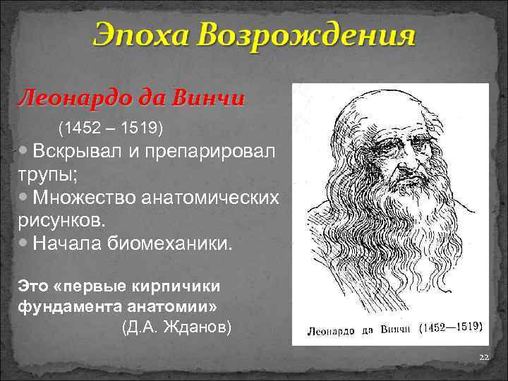 Леонардо да Винчи (1452 – 1519) Вскрывал и препарировал трупы; Множество анатомических рисунков. Начала