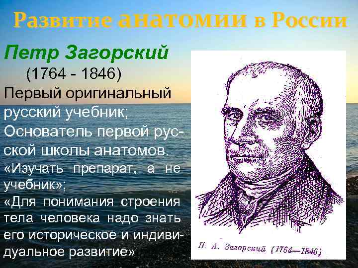 Развитие анатомии в России Петр Загорский Петр - 1846) (1764 Загорский Первый оригинальный русский