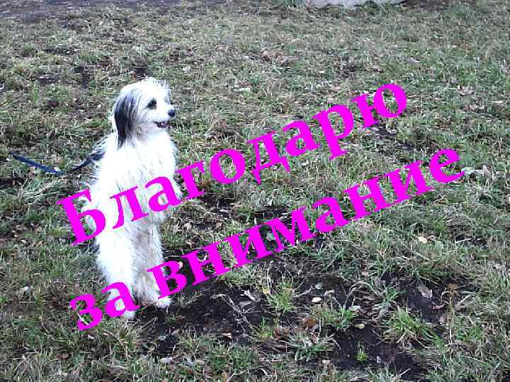 ю р а д о ние г а л а Б м и н