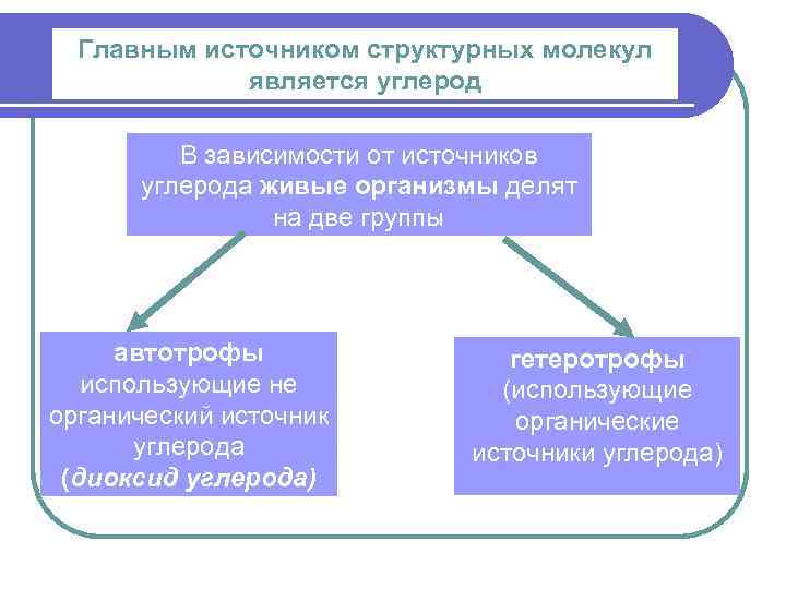 Главным источником структурных молекул является углерод В зависимости от источников углерода живые организмы делят