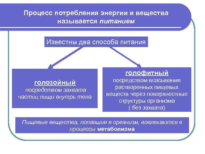 Процесс потребления энергии и вещества называется питанием Известны два способа питания голофитный голозойный посредством