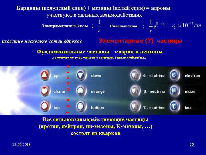 Барионы (полуцелый спин) + мезоны (целый спин) = адроны участвуют в сильных взаимодействиях Электромагнитные