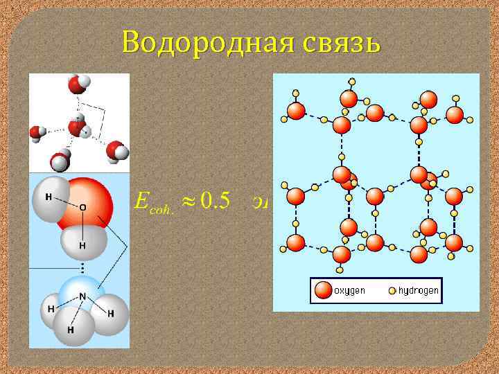 Водородная связь 