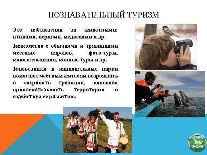 ПОЗНАВАТЕЛЬНЫЙ ТУРИЗМ Это наблюдения за животными: птицами, нерпами, медведями и др. Знакомство с обычаями