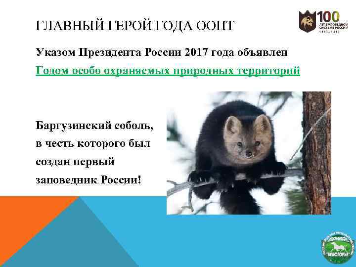 ГЛАВНЫЙ ГЕРОЙ ГОДА ООПТ Указом Президента России 2017 года объявлен Годом особо охраняемых природных