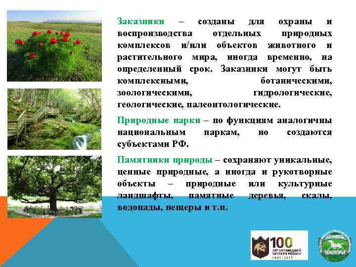 Заказники – созданы для охраны и воспроизводства отдельных природных комплексов и/или объектов животного и