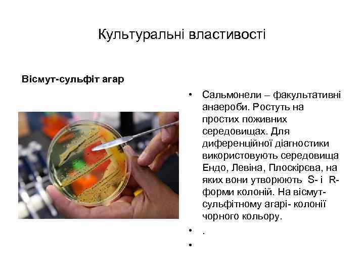 Культуральні властивості Вісмут-сульфіт агар • Сальмонели – факультативні анаероби. Ростуть на простих поживних середовищах.