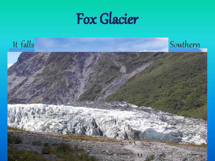 Fox Glacier It falls 2600 m on its 13 -km journey from the Southern