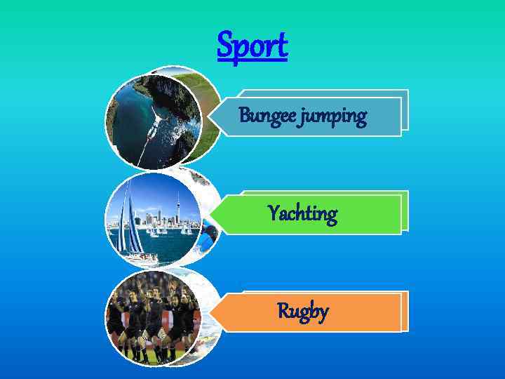 Sport Zorbing Bungee jumping Rafting Yachting Surfing Rugby 