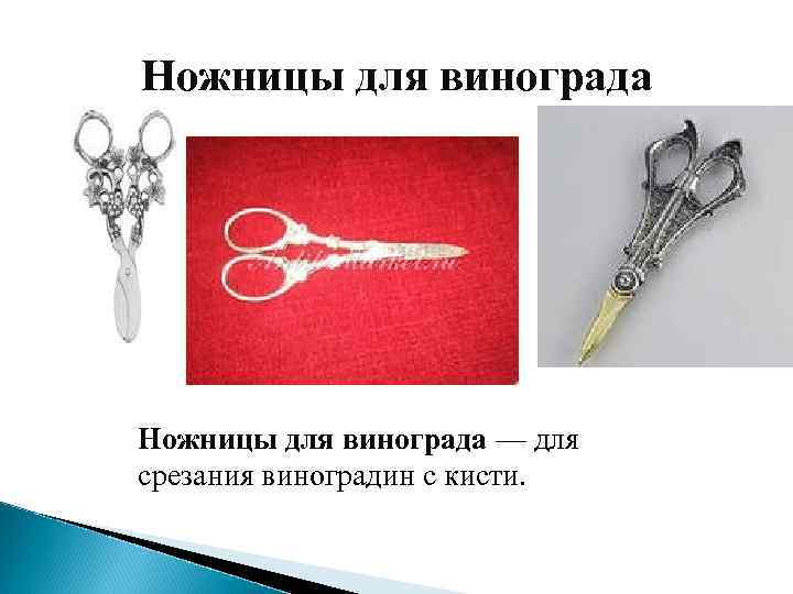 Ножницы для винограда — для срезания виноградин с кисти. 