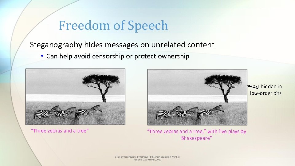 Freedom of Speech Steganography hides messages on unrelated content • Can help avoid censorship