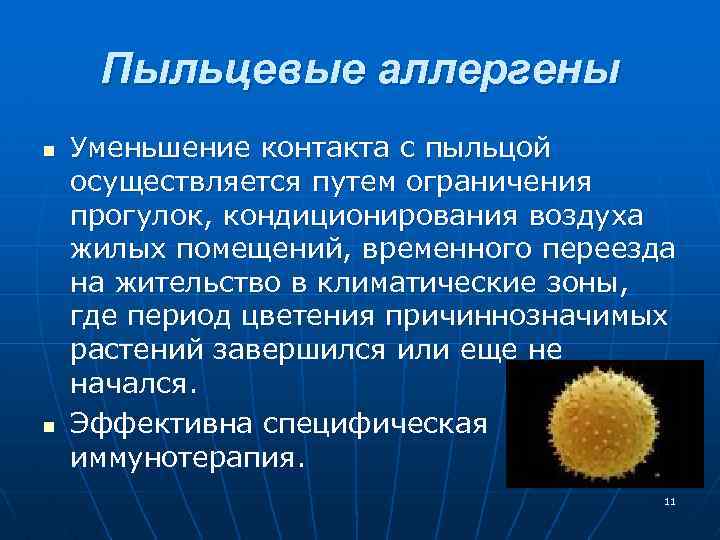 Пыльцевые аллергены n n Уменьшение контакта с пыльцой осуществляется путем ограничения прогулок, кондиционирования воздуха