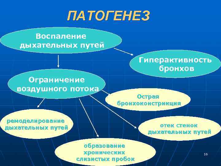 ПАТОГЕНЕЗ Воспаление дыхательных путей Гиперактивность бронхов Ограничение воздушного потока Острая бронхоконстрикция ремоделирование дыхательных путей