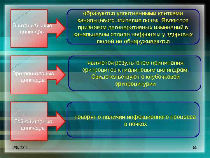 Эпителиальные цилиндры Эритроцитарные цилиндры Лейкоцитарные цилиндры 2/8/2018 образуются уплотненными клетками канальцевого эпителия почек. Являются