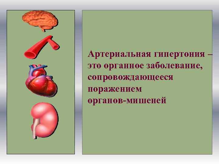 Артериальная гипертония – это органное заболевание, сопровождающееся поражением органов-мишеней 