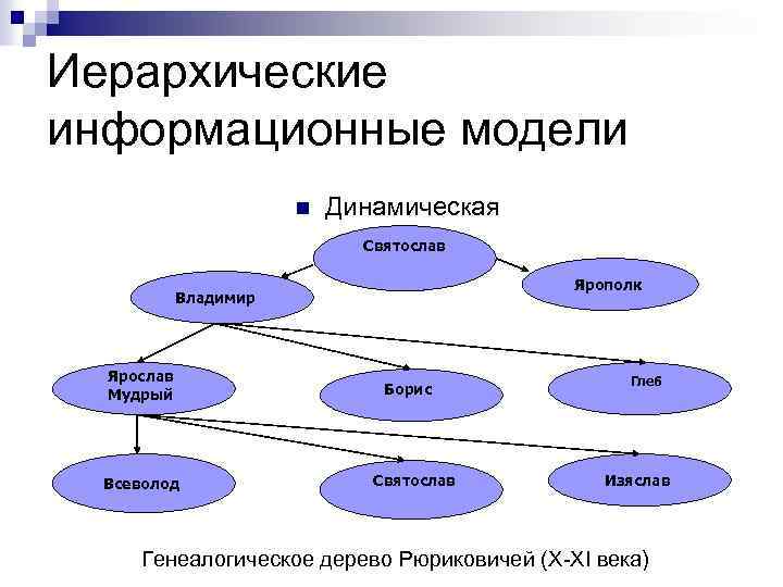 Иерархические информационные модели n Динамическая Святослав Ярополк Владимир Ярослав Мудрый Всеволод Борис Святослав Глеб