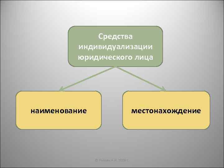 Средства индивидуализации юридического лица наименование местонахождение © Райлян А. И. 2009 г. 